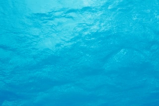 「無題」のサムネイル画像