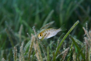 「無題」のサムネイル画像