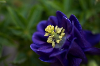 「無題」のサムネイル画像