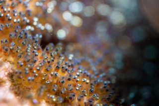 「無題」のサムネイル画像