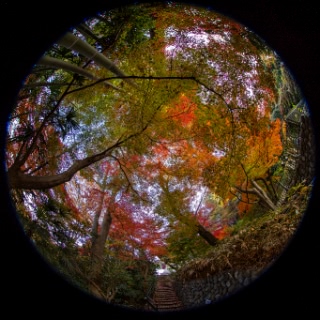 「無題」のサムネイル画像