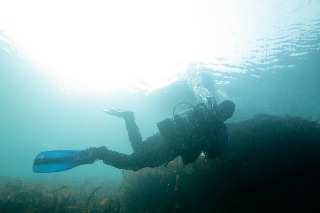 「無題」のサムネイル画像