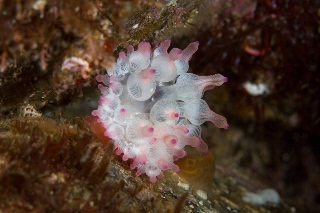 「無題」のサムネイル画像