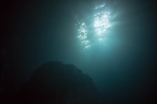 「無題」のサムネイル画像