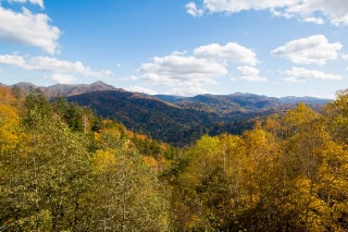 「無題」のサムネイル画像