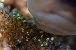 「無題」のサムネイル画像