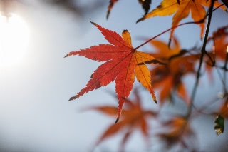 「無題」のサムネイル画像