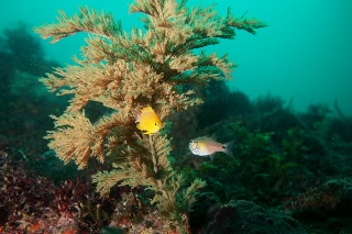「無題」のサムネイル画像