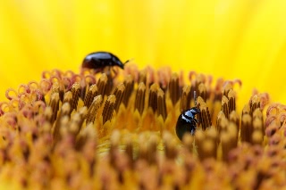 「無題」のサムネイル画像