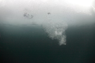 「無題」のサムネイル画像