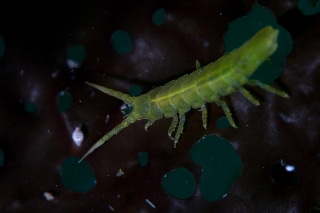 「無題」のサムネイル画像