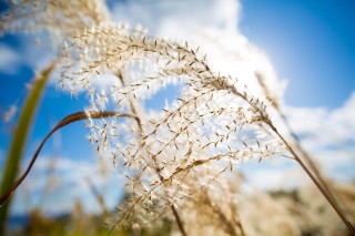 「無題」のサムネイル画像