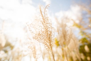 「無題」のサムネイル画像