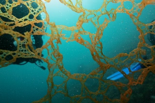 「無題」のサムネイル画像