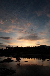 「無題」のサムネイル画像