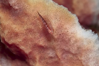 「無題」のサムネイル画像