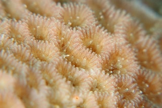 「無題」のサムネイル画像