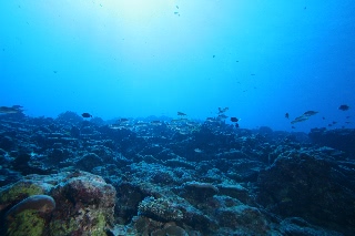 「無題」のサムネイル画像