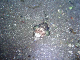 「無題」のサムネイル画像