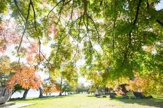 「無題」のサムネイル画像