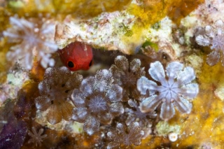 「無題」のサムネイル画像