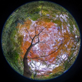 「無題」のサムネイル画像