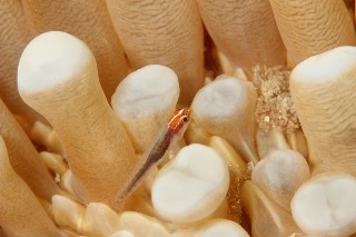 「無題」のサムネイル画像