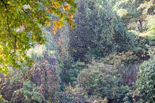 「無題」のサムネイル画像