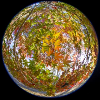 「無題」のサムネイル画像