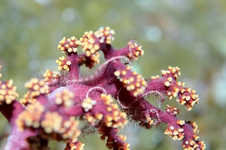 「無題」のサムネイル画像