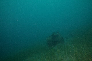 「無題」のサムネイル画像