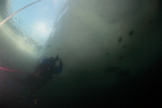 「無題」のサムネイル画像