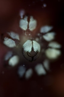 「無題」のサムネイル画像