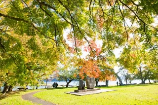 「無題」のサムネイル画像