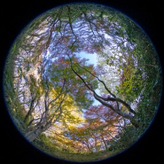 「無題」のサムネイル画像