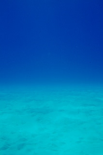 「無題」のサムネイル画像