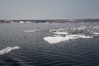 「無題」のサムネイル画像