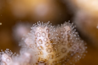 「無題」のサムネイル画像