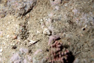 「無題」のサムネイル画像