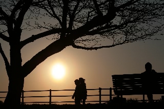 「無題」のサムネイル画像