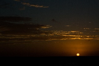 「無題」のサムネイル画像