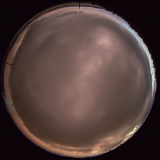 「無題」のサムネイル画像