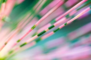 「無題」のサムネイル画像