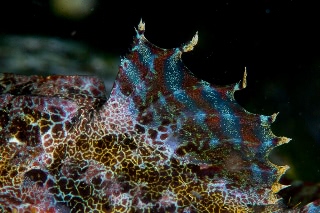 「無題」のサムネイル画像