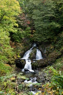 「無題」のサムネイル画像