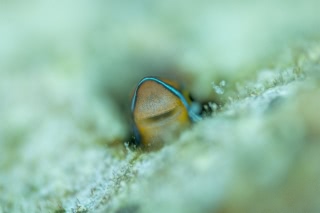 「無題」のサムネイル画像