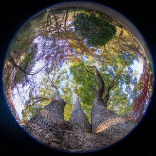 「無題」のサムネイル画像