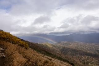「無題」のサムネイル画像