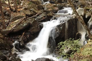 「龍神の滝」のサムネイル画像