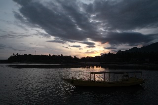 「無題」のサムネイル画像